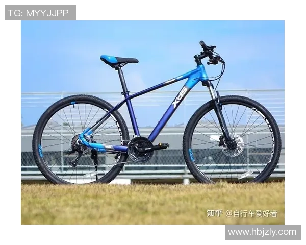 极限运动爱好者必看的防护垫选购指南与推荐技巧